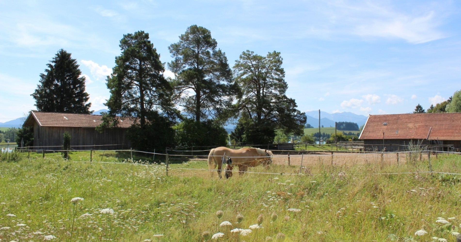 Ferienhäuser Via Claudia Demmler Pferdekoppel