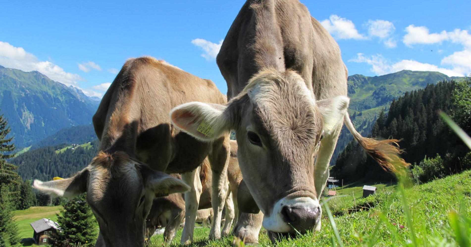 Ferienhaus in Bayern Allgäu
